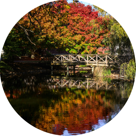Luxury Psychiatry | Best Psychiatrists in Chicago, Illinois