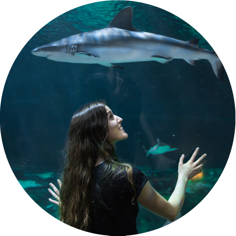 Woman at SeaWorld in Orlando after she received psychiatry services from Luxury Psychiatry Clinic