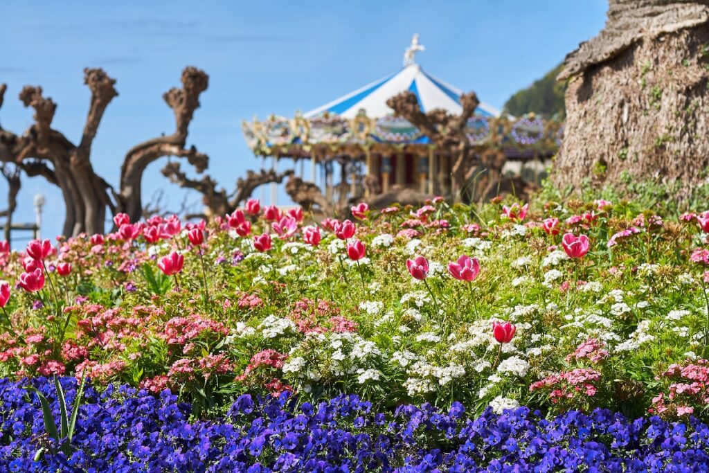 Luxury Psychiatry can offer TMS therapy for employees of Disney, Universal, and SeaWorld