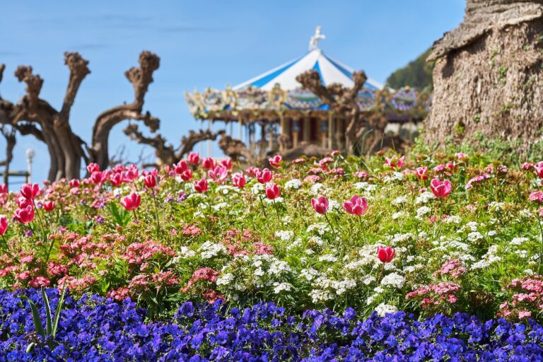 Luxury Psychiatry can offer TMS therapy for employees of Disney, Universal, and SeaWorld