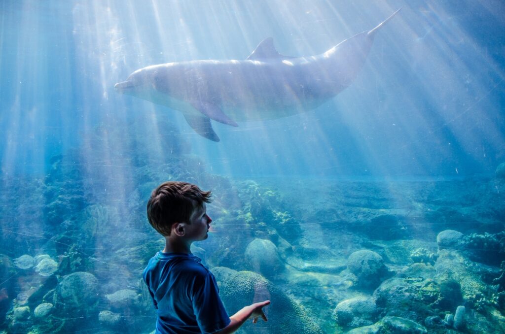 Find treatment with your SeaWorld EAP at Luxury Psychiatry Clinic in Orlando